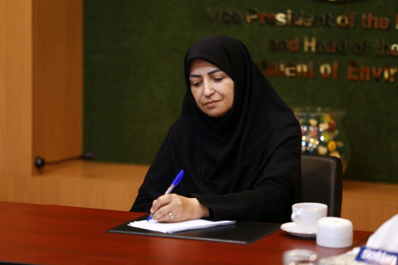 رییس سازمان حفاظت محیط زیست
